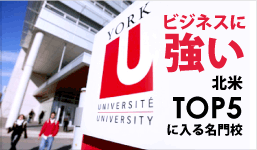 York University